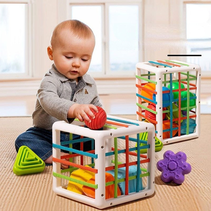 Colorful Shape Blocks Sorting Toys