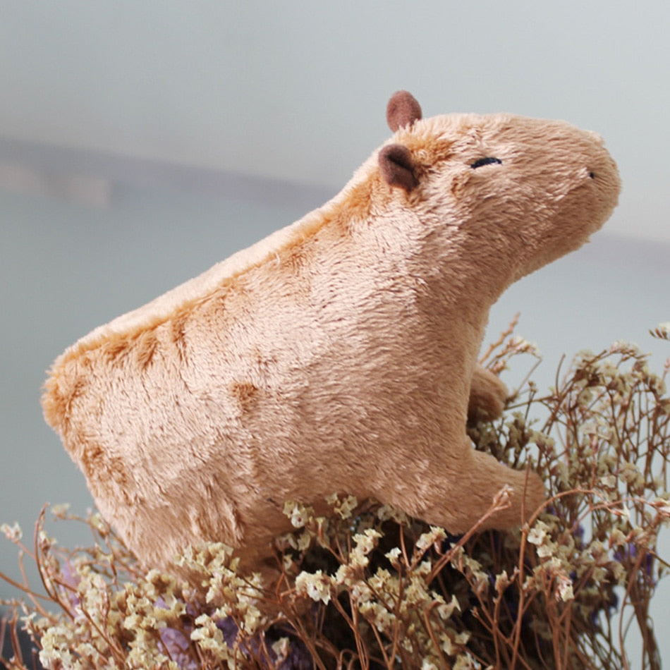 Capybara Plush Fluffty Toy